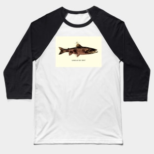 Canadian Red Trout Vintage Art for the Ocean Lovers and Anglers / Gifts for Fisherman Baseball T-Shirt